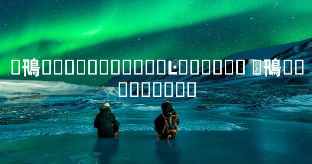 �鳵�����շѱ�׼��Ŀ������ �鳵������Ǯ��